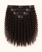 Tight Curly Clip-ins