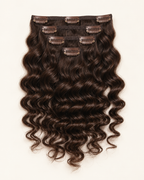 Loose Curly Clip-ins